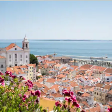 Swet Lissabon